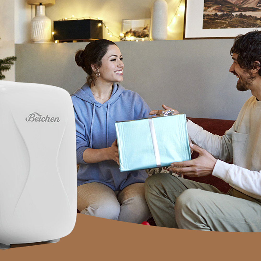 Morfone 4L/6 Can Skincare Mini Fridge Rapid Cooling Cooler & Warmer White