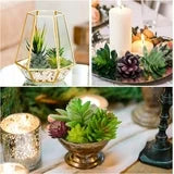 Aisutha Artificial Succulent Plants - 16 Pcs Set Faux Succulents Unpotted Fake Succulent Plants, Premium Crafting DIY Floral Decor for Home Garden Office Party (High Realistic )