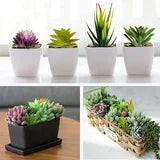 Aisutha Artificial Succulent Plants - 16 Pcs Set Faux Succulents Unpotted Fake Succulent Plants, Premium Crafting DIY Floral Decor for Home Garden Office Party (High Realistic )