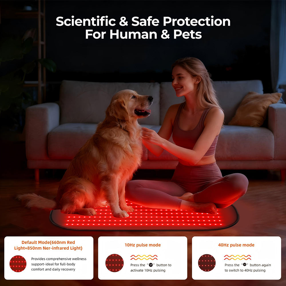 Morfone 31×14 Inch 240LED Red Light Therapy Mat 660nm 880nm Light Therapy Mat with Timer & Controller