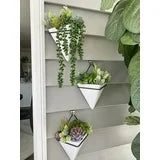 Aisutha Artificial Succulent Plants - 16 Pcs Set Faux Succulents Unpotted Fake Succulent Plants, Premium Crafting DIY Floral Decor for Home Garden Office Party (High Realistic )