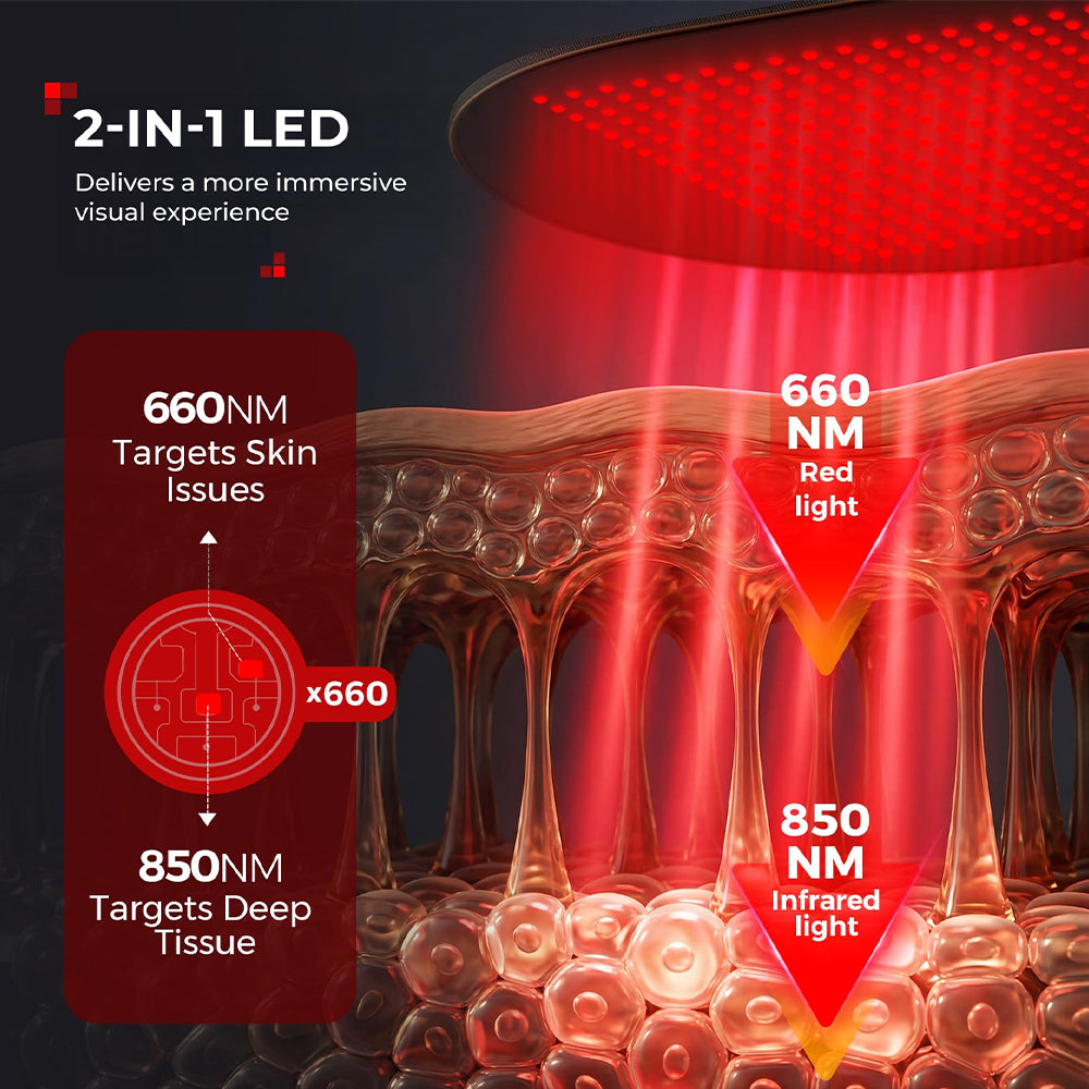 Morfone 31×14 Inch 240LED Red Light Therapy Mat 660nm 880nm Light Therapy Mat with Timer & Controller