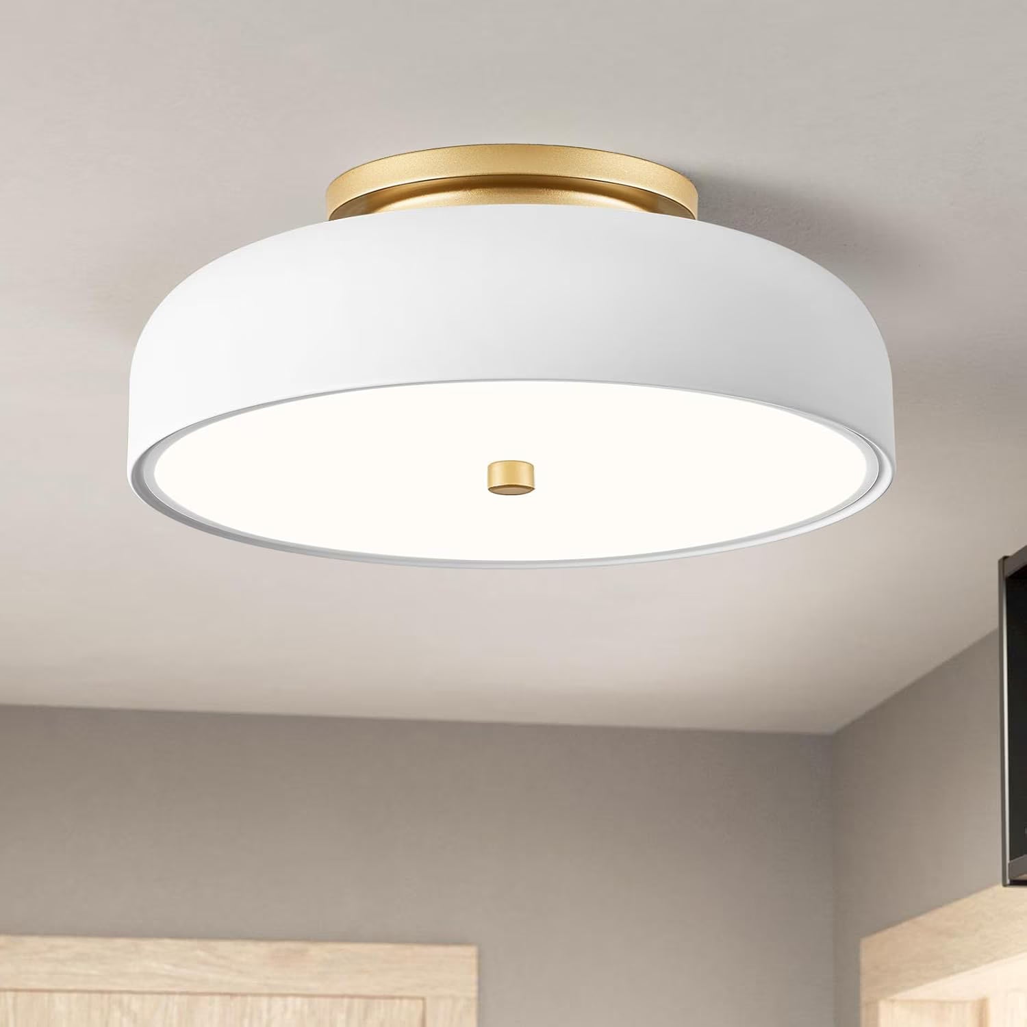 Anoak Ceiling Light,Dimmable Modern LED Ceiling Light with Remote, 22.8" 6-Petal Flower Light Fixtures for Living Room, Dining Room, Bedroom, Kitchen