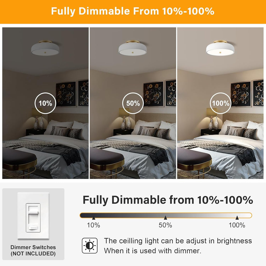 Anoak Ceiling Light,Dimmable Modern LED Ceiling Light with Remote, 22.8" 6-Petal Flower Light Fixtures for Living Room, Dining Room, Bedroom, Kitchen