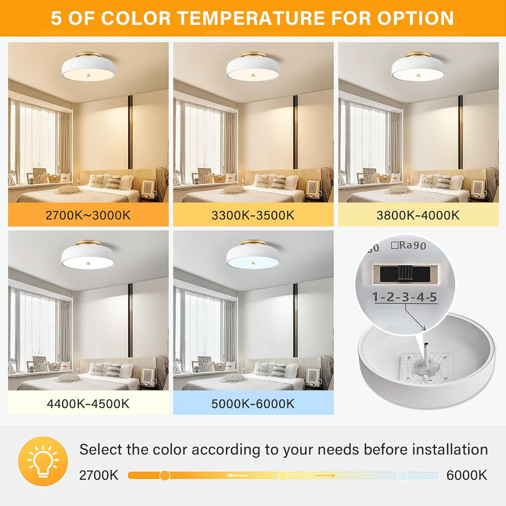 Anoak Ceiling Light,Dimmable Modern LED Ceiling Light with Remote, 22.8" 6-Petal Flower Light Fixtures for Living Room, Dining Room, Bedroom, Kitchen